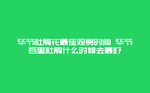 毕节杜鹃花最佳观赏时间 毕节百里杜鹃什么时候去最好