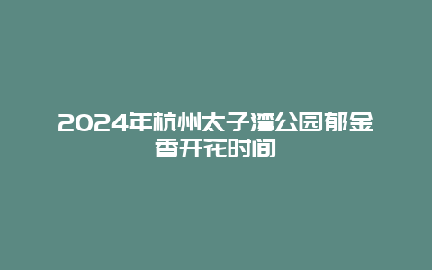 2024年杭州太子湾公园郁金香开花时间