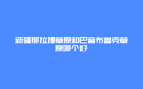 新疆那拉提草原和巴音布鲁克草原哪个好