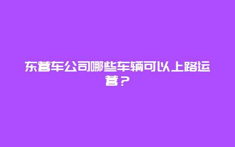 东营车公司哪些车辆可以上路运营？