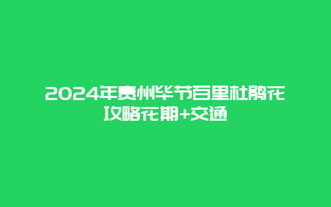 2024年贵州毕节百里杜鹃花攻略花期+交通