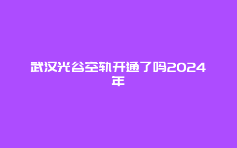 武汉光谷空轨开通了吗2024年