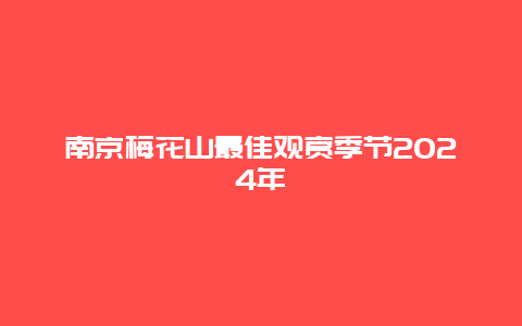 南京梅花山最佳观赏季节2024年