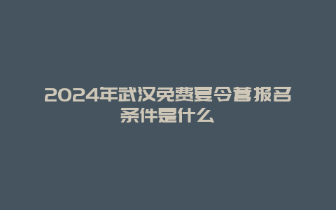 2024年武汉免费夏令营报名条件是什么