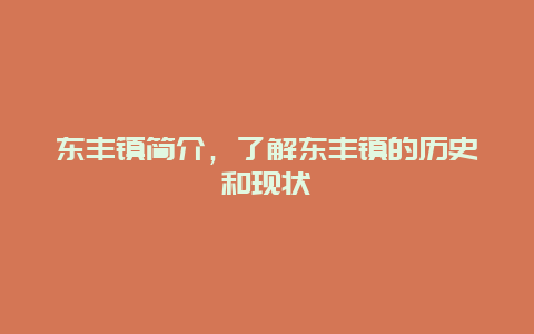 东丰镇简介，了解东丰镇的历史和现状