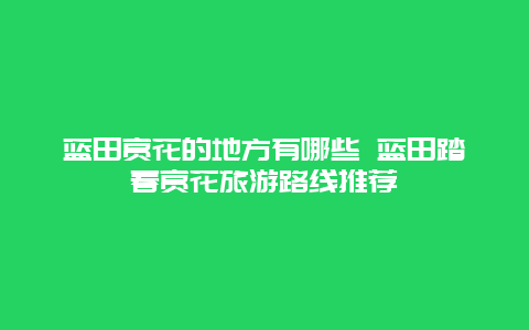 蓝田赏花的地方有哪些 蓝田踏春赏花旅游路线推荐