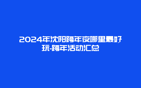 2024年沈阳跨年夜哪里最好玩-跨年活动汇总