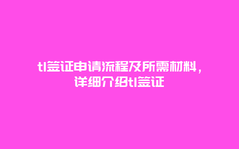 t1签证申请流程及所需材料，详细介绍t1签证