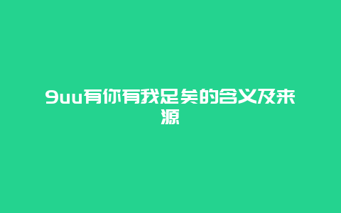 9uu有你有我足矣的含义及来源