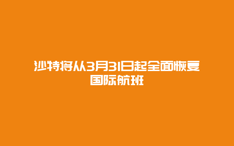 沙特将从3月31日起全面恢复国际航班