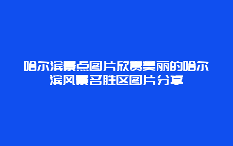 哈尔滨景点图片欣赏美丽的哈尔滨风景名胜区图片分享