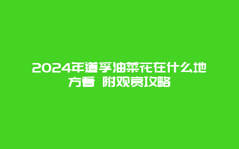 2024年道孚油菜花在什么地方看 附观赏攻略