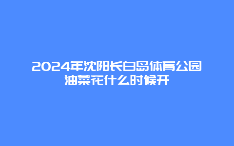 2024年沈阳长白岛体育公园油菜花什么时候开