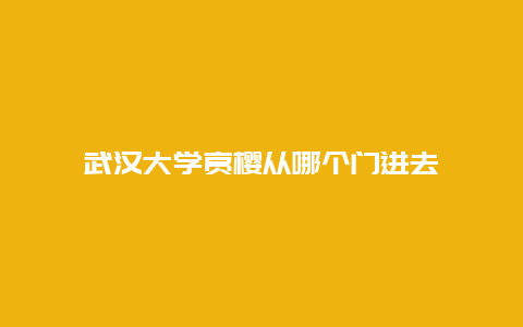 武汉大学赏樱从哪个门进去