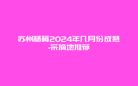 苏州杨梅2024年几月份成熟-采摘地推荐