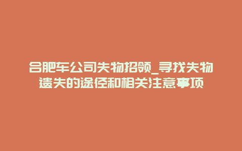 合肥车公司失物招领_寻找失物遗失的途径和相关注意事项