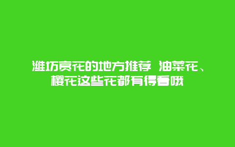 潍坊赏花的地方推荐 油菜花、樱花这些花都有得看哦