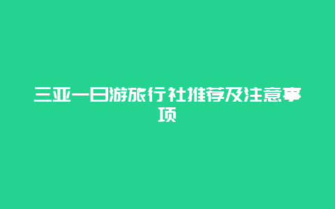 三亚一日游旅行社推荐及注意事项