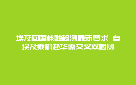 埃及回国核酸检测最新要求 自埃及乘机赴华需交叉双检测