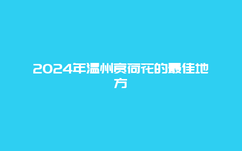 2024年温州赏荷花的最佳地方