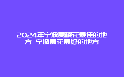 2024年宁波赏樱花最佳的地方 宁波赏花最好的地方