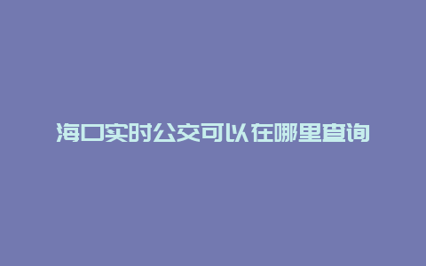 海口实时公交可以在哪里查询