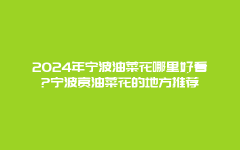 2024年宁波油菜花哪里好看?宁波赏油菜花的地方推荐