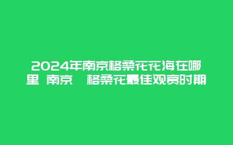 2024年南京格桑花花海在哪里 南京​格桑花最佳观赏时期