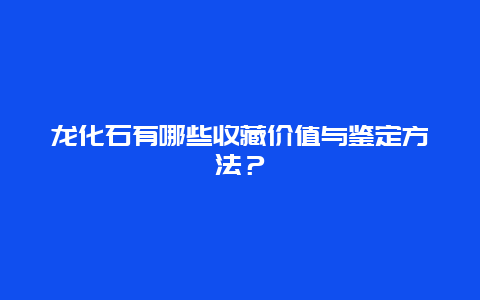 龙化石有哪些收藏价值与鉴定方法？