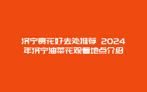 济宁赏花好去处推荐 2024年济宁油菜花观看地点介绍