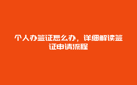 个人办签证怎么办，详细解读签证申请流程