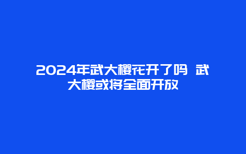 2024年武大樱花开了吗 武大樱或将全面开放