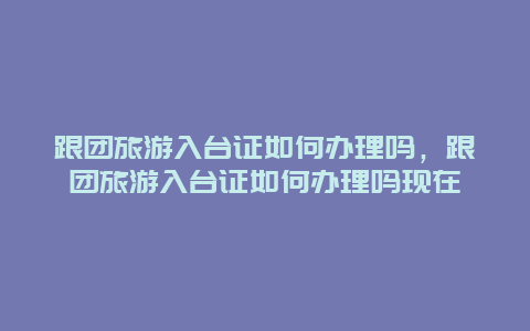 跟团旅游入台证如何办理吗，跟团旅游入台证如何办理吗现在