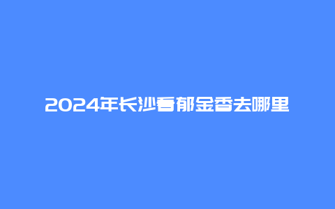 2024年长沙看郁金香去哪里