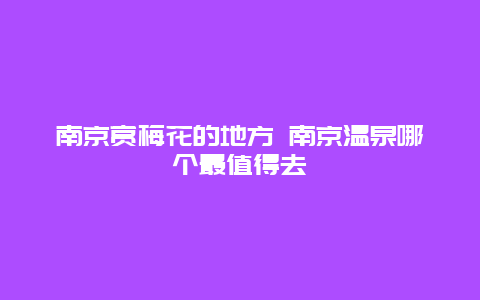 南京赏梅花的地方 南京温泉哪个最值得去