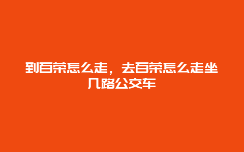 到百荣怎么走，去百荣怎么走坐几路公交车