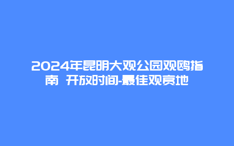 2024年昆明大观公园观鸥指南 开放时间-最佳观赏地