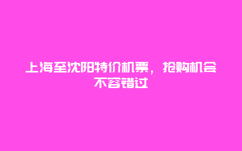 上海至沈阳特价机票，抢购机会不容错过