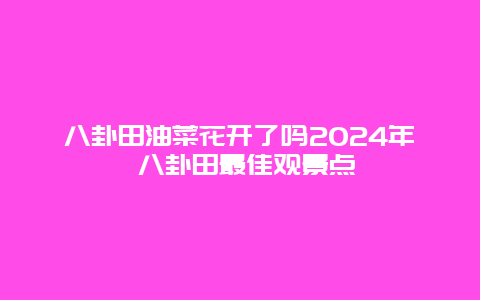 八卦田油菜花开了吗2024年 八卦田最佳观景点