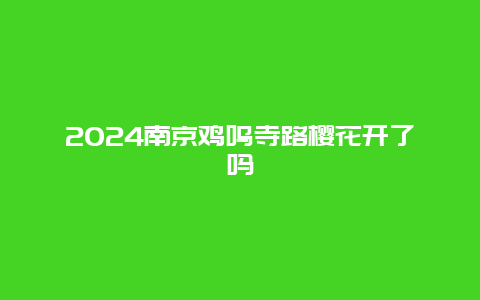 2024南京鸡鸣寺路樱花开了吗