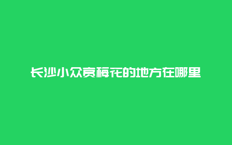 长沙小众赏梅花的地方在哪里