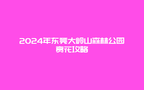 2024年东莞大岭山森林公园赏花攻略