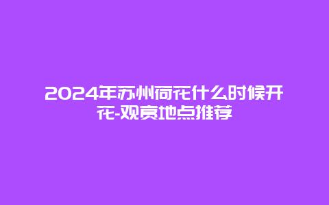 2024年苏州荷花什么时候开花-观赏地点推荐