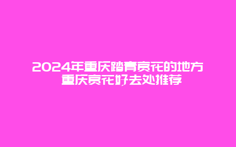 2024年重庆踏青赏花的地方 重庆赏花好去处推荐