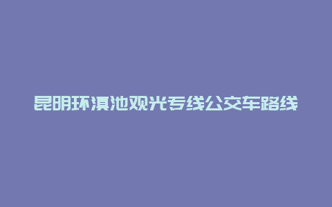 昆明环滇池观光专线公交车路线