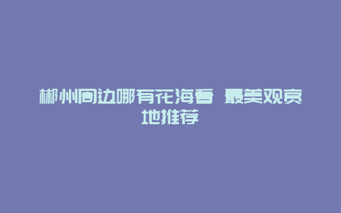 郴州周边哪有花海看 最美观赏地推荐