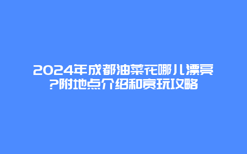 2024年成都油菜花哪儿漂亮?附地点介绍和赏玩攻略