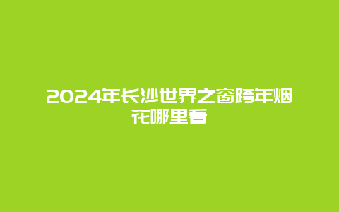 2024年长沙世界之窗跨年烟花哪里看