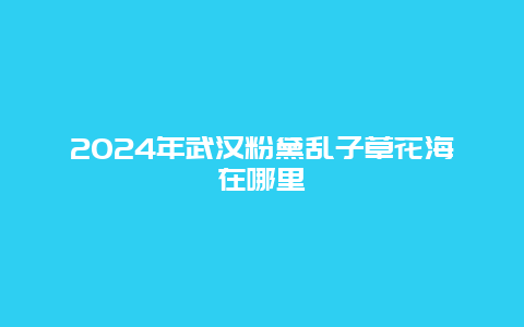 2024年武汉粉黛乱子草花海在哪里