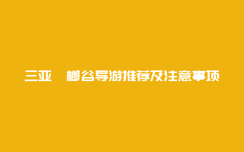 三亚槟榔谷导游推荐及注意事项